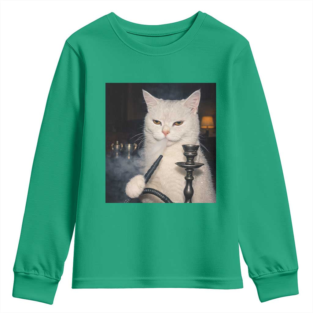 Funny Stoner Cat Youth Sweatshirt 420 Stoner Smoking Cat Cannabis Lover Meme