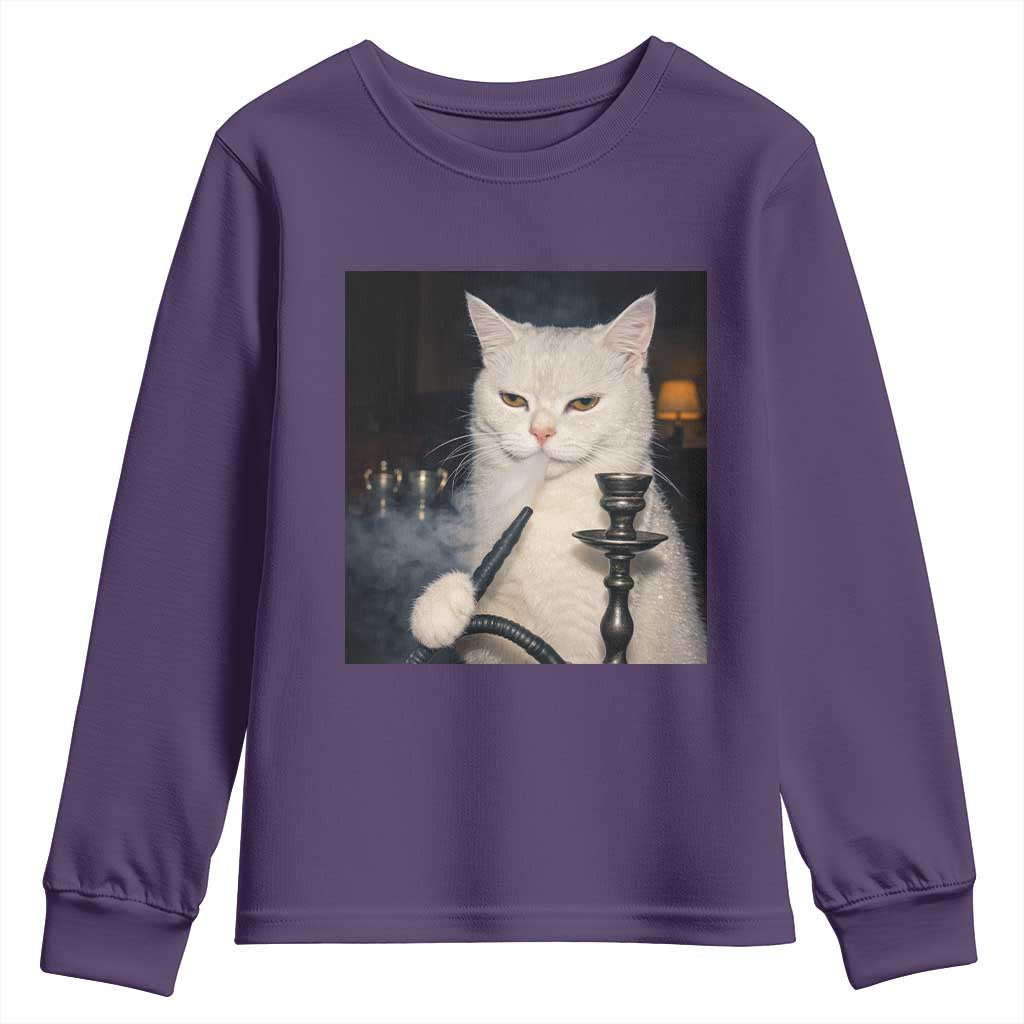 Funny Stoner Cat Youth Sweatshirt 420 Stoner Smoking Cat Cannabis Lover Meme