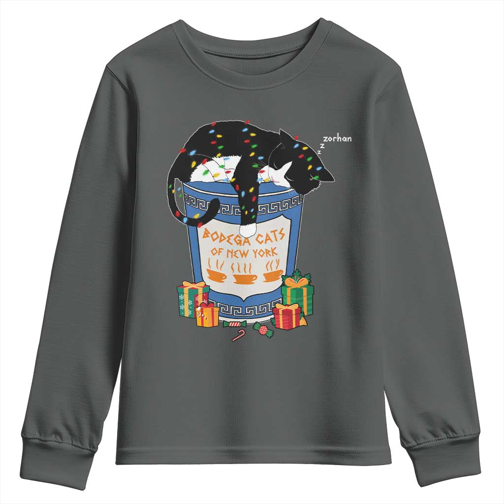 Bodega Cats of New York Youth Sweatshirt Funny Democrat Christmas - Wonder Print Shop