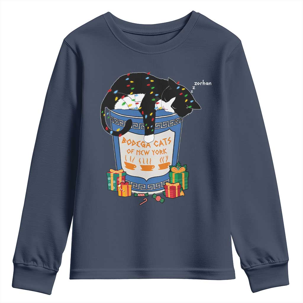 Bodega Cats of New York Youth Sweatshirt Funny Democrat Christmas - Wonder Print Shop