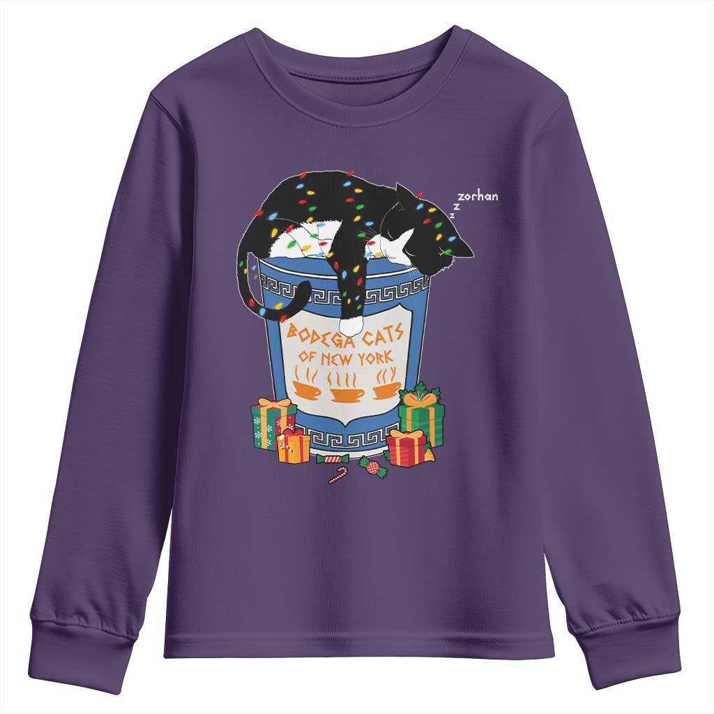 Bodega Cats of New York Youth Sweatshirt Funny Democrat Christmas - Wonder Print Shop