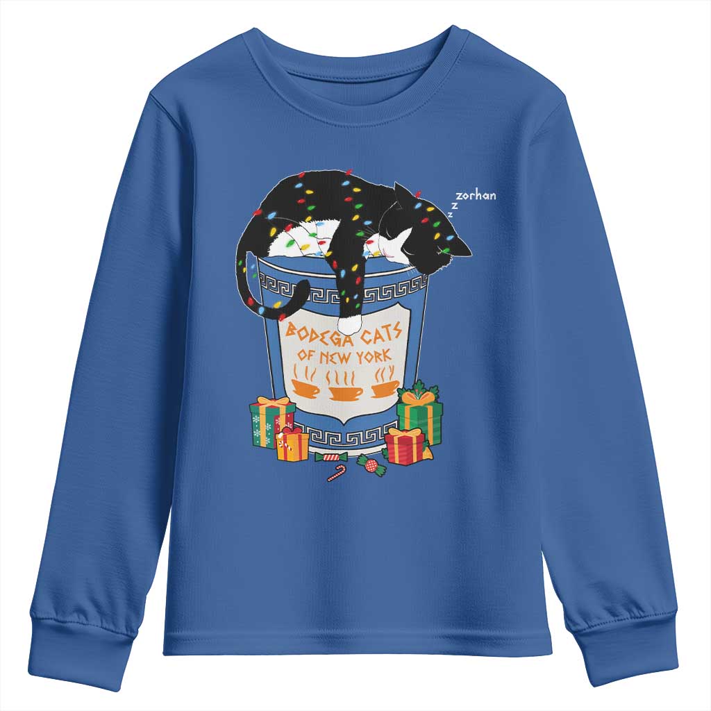 Bodega Cats of New York Youth Sweatshirt Funny Democrat Christmas - Wonder Print Shop