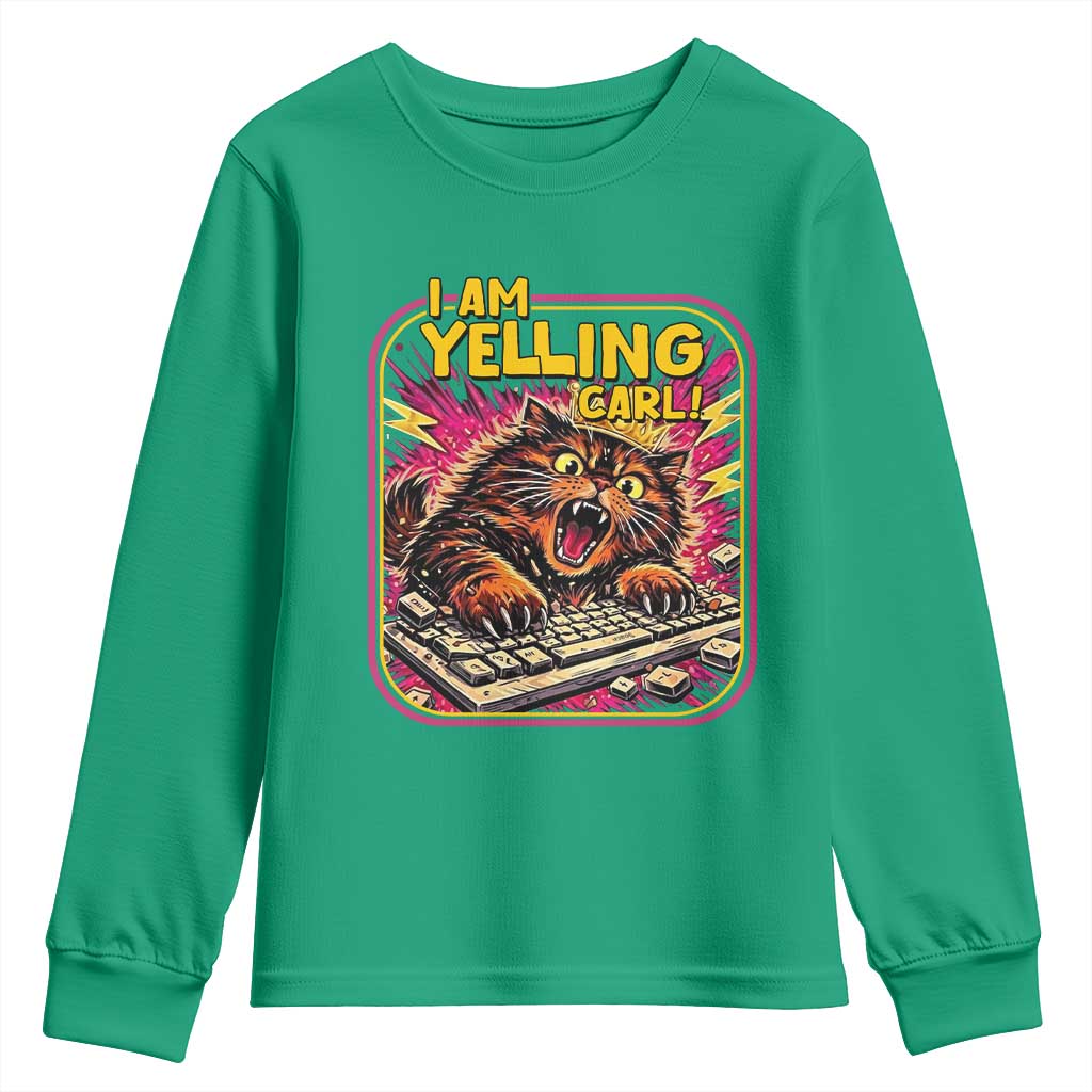Funny I Am Yelling Carl Youth Sweatshirt Screaming Donut Cat Meme