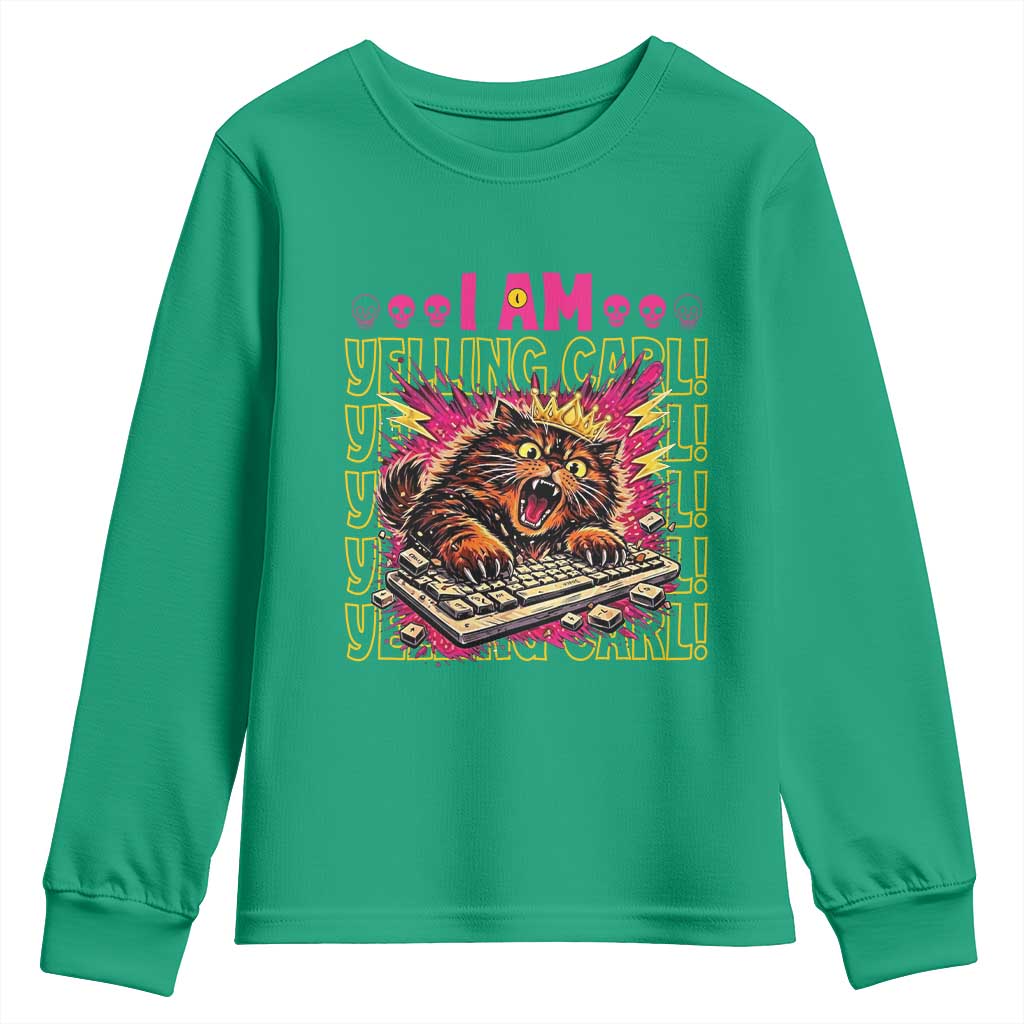 Funny I Am Yelling Carl Donut Cat Meme Youth Sweatshirt