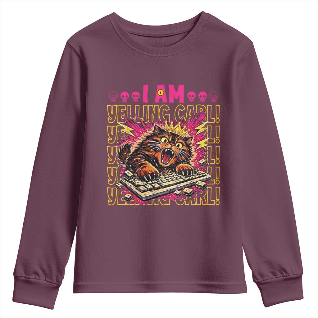 Funny I Am Yelling Carl Donut Cat Meme Youth Sweatshirt