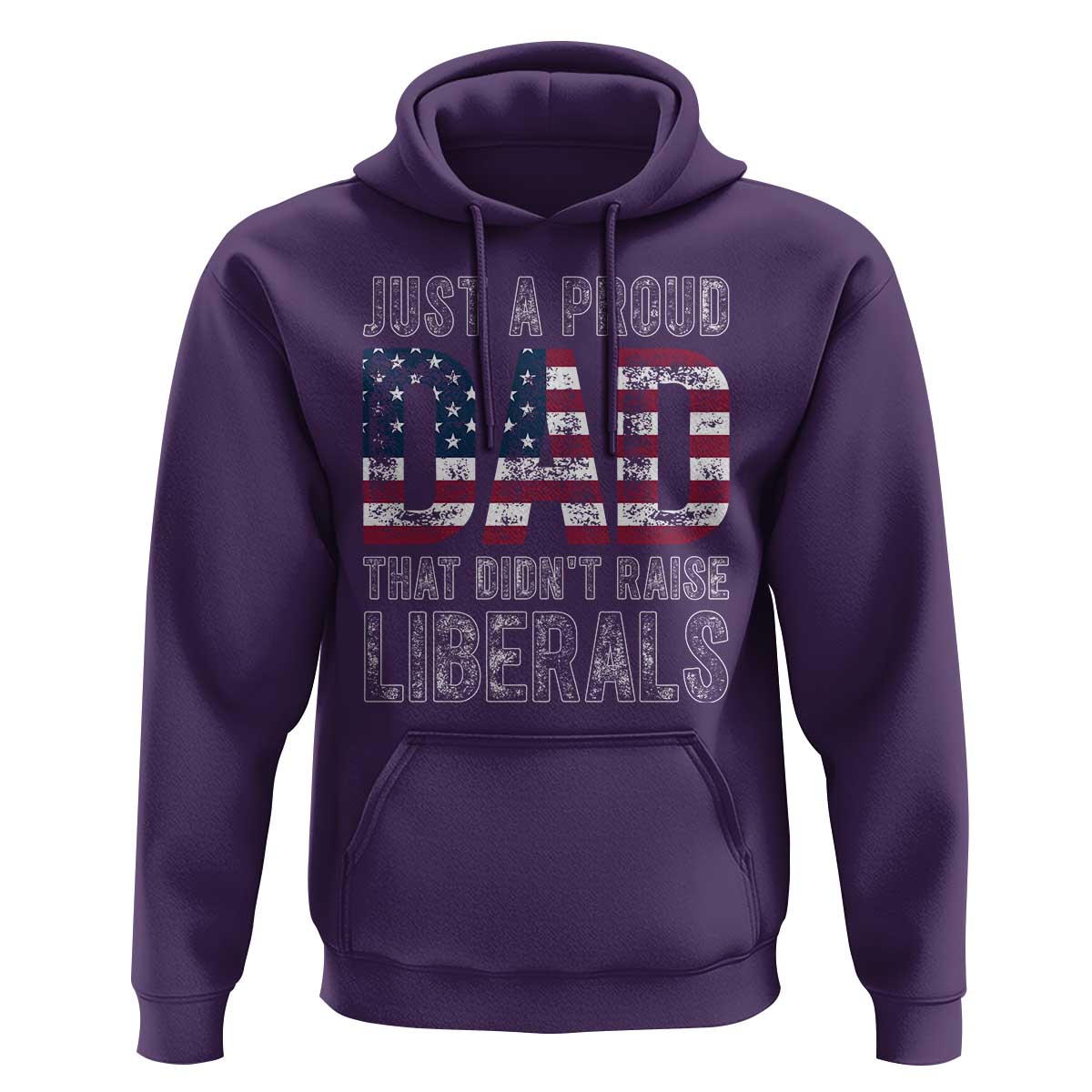 Just A Proud Dad that Didn't Raise Liberals Hoodie Funny Father's Day 4th of July