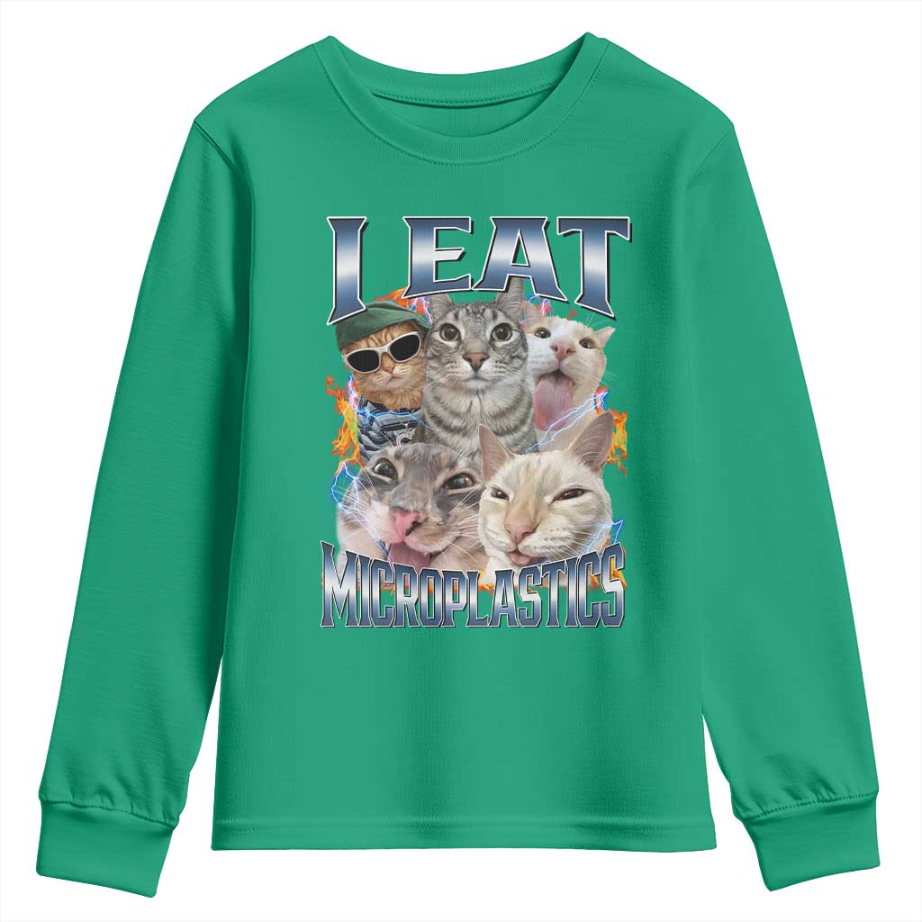 Funny Cat Meme Youth Sweatshirt I Eat Microplastics - Wonder Print Shop