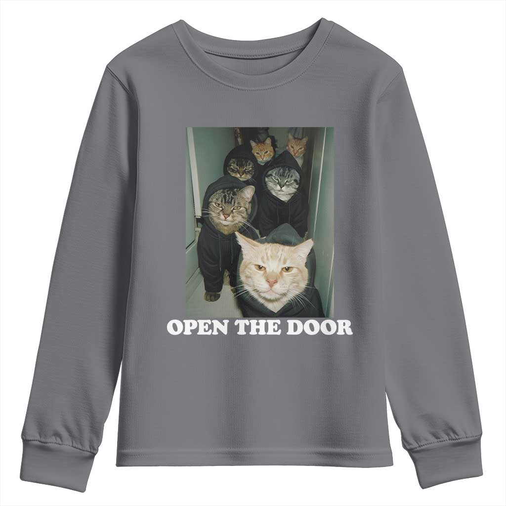 Open The Door Cats Lover Youth Sweatshirt Funny Cat Gang Sarcastic Meme - Wonder Print Shop
