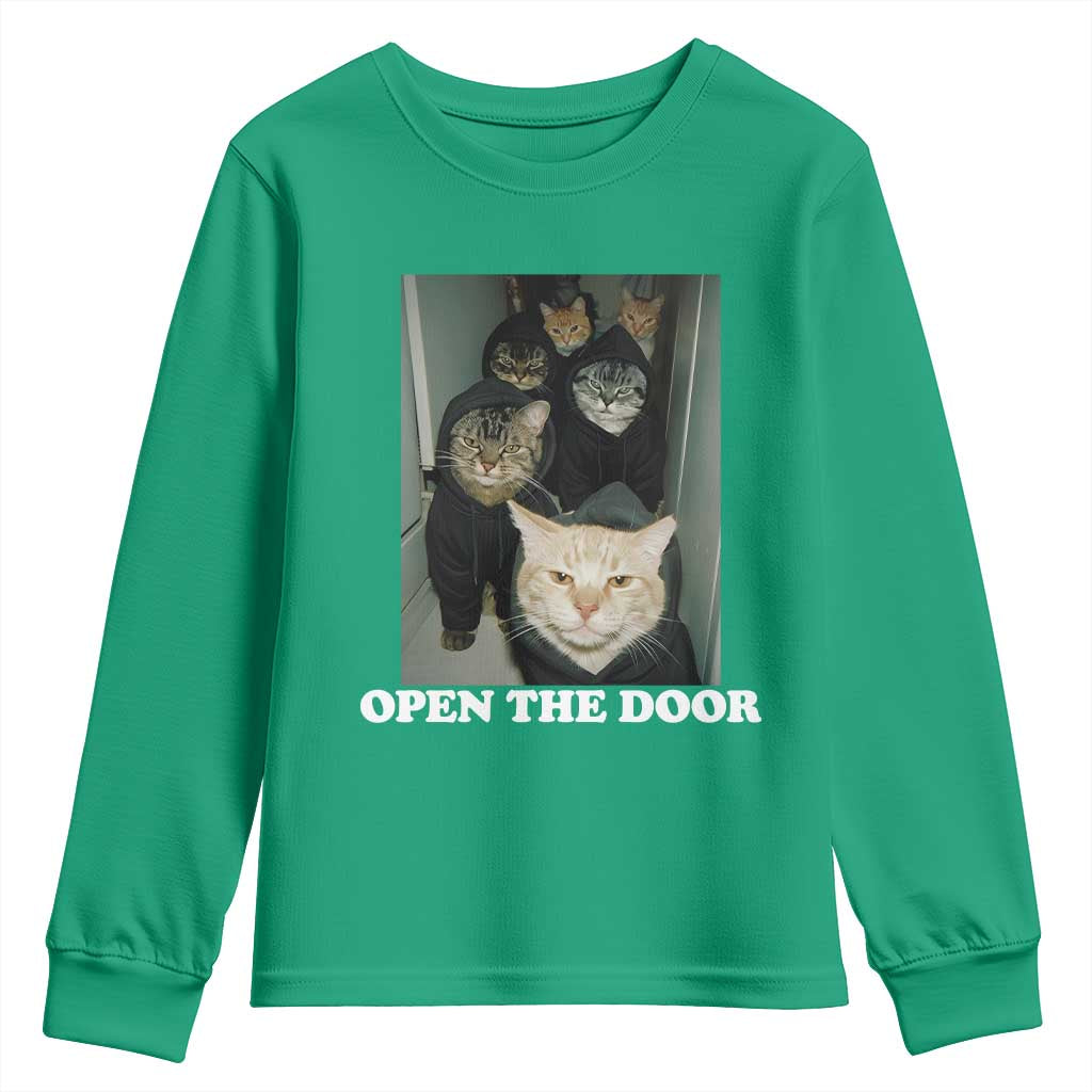 Open The Door Cats Lover Youth Sweatshirt Funny Cat Gang Sarcastic Meme - Wonder Print Shop