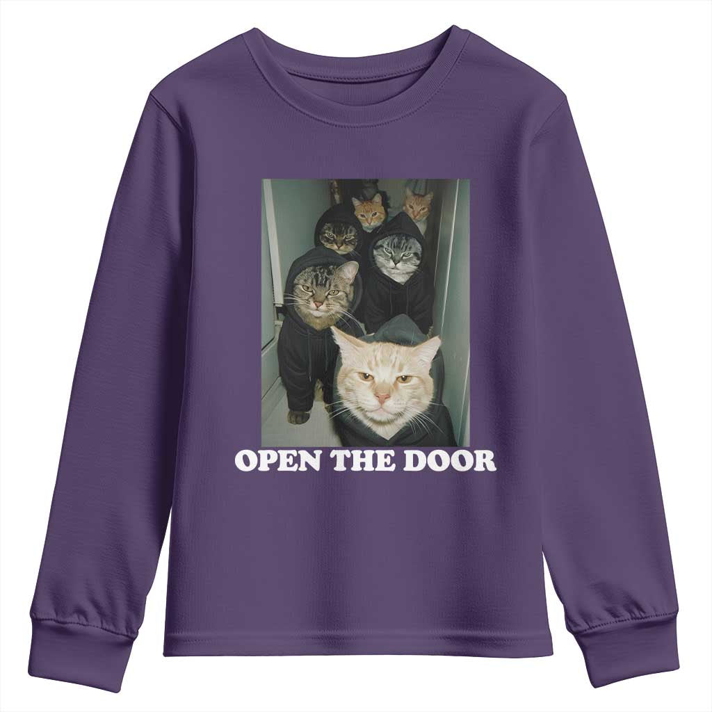 Open The Door Cats Lover Youth Sweatshirt Funny Cat Gang Sarcastic Meme - Wonder Print Shop
