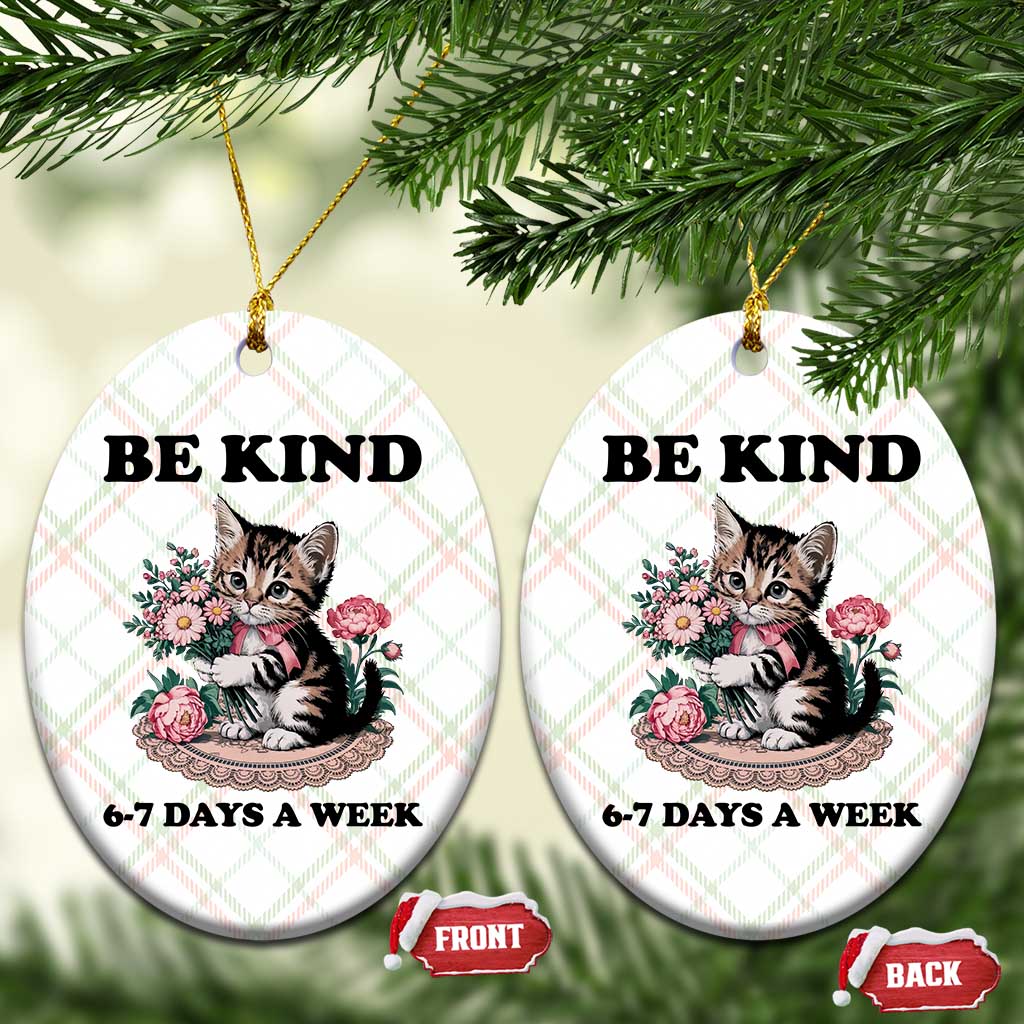 Be Kind 6 7 Days a Week Ceramic Ornament Funny Six Seven Cat Teacher Meme - Wonder Print Shop