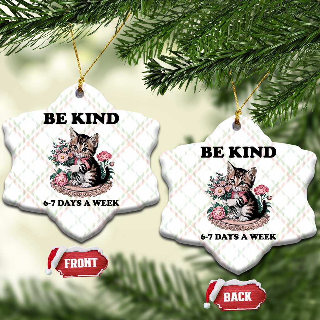 Be Kind 6 7 Days a Week Ceramic Ornament Funny Six Seven Cat Teacher Meme - Wonder Print Shop