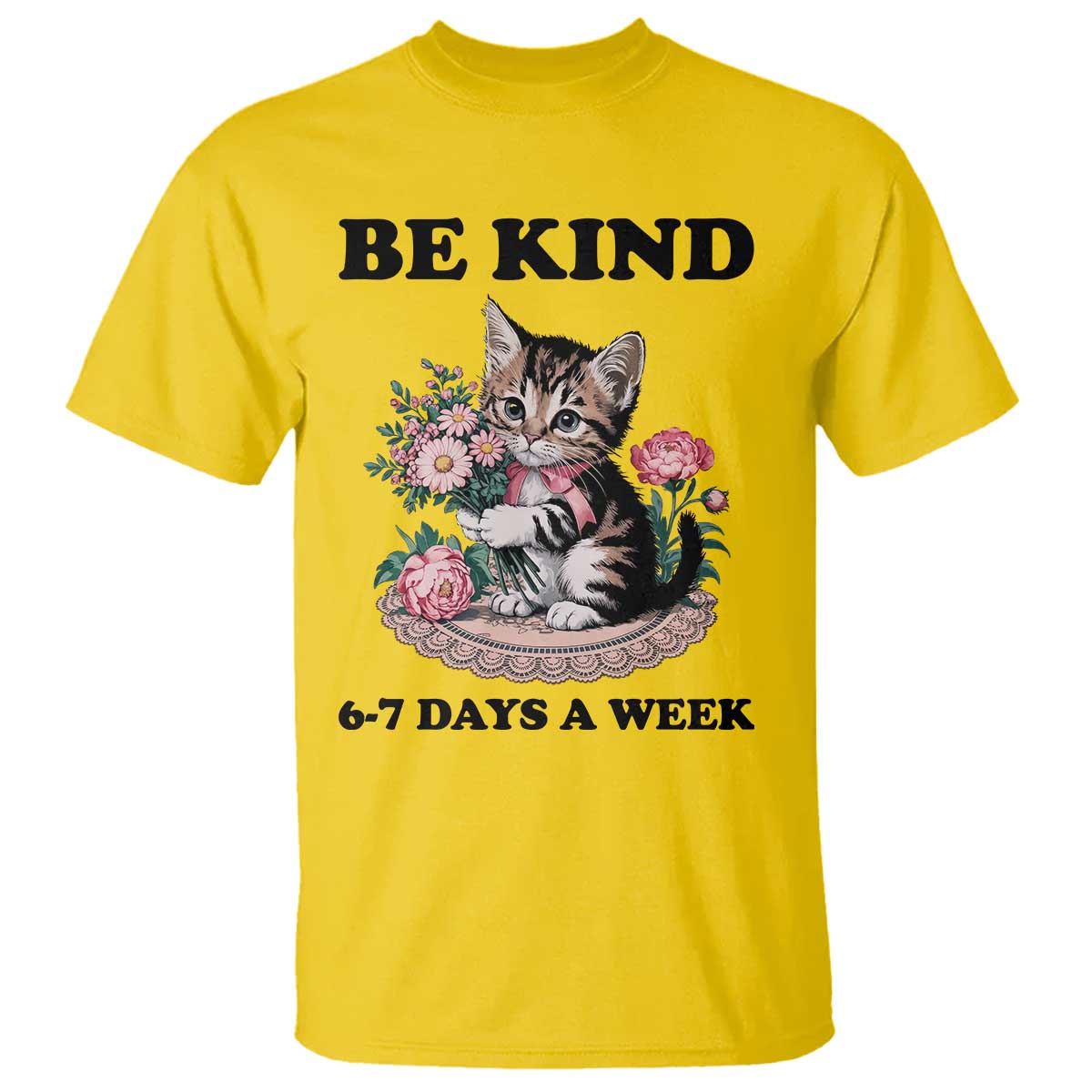 Be Kind 6 7 Days a Week T Shirt Funny Six Seven Cat Teacher Meme - Wonder Print Shop