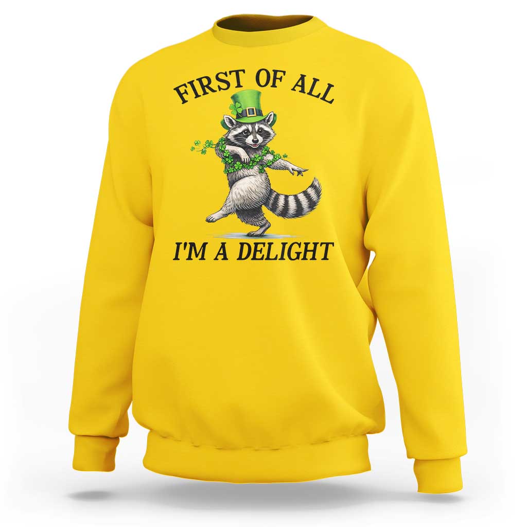 Funny Raccoon St Patricks Day Meme Sweatshirt First Of All I Am Delight
