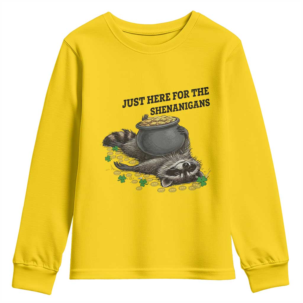 Funny Raccoon St Patricks Day Meme Youth Sweatshirt Just Here For The Shenanigans
