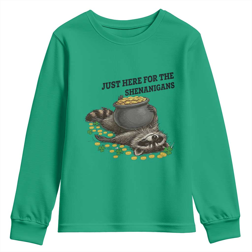 Funny Raccoon St Patricks Day Meme Youth Sweatshirt Just Here For The Shenanigans