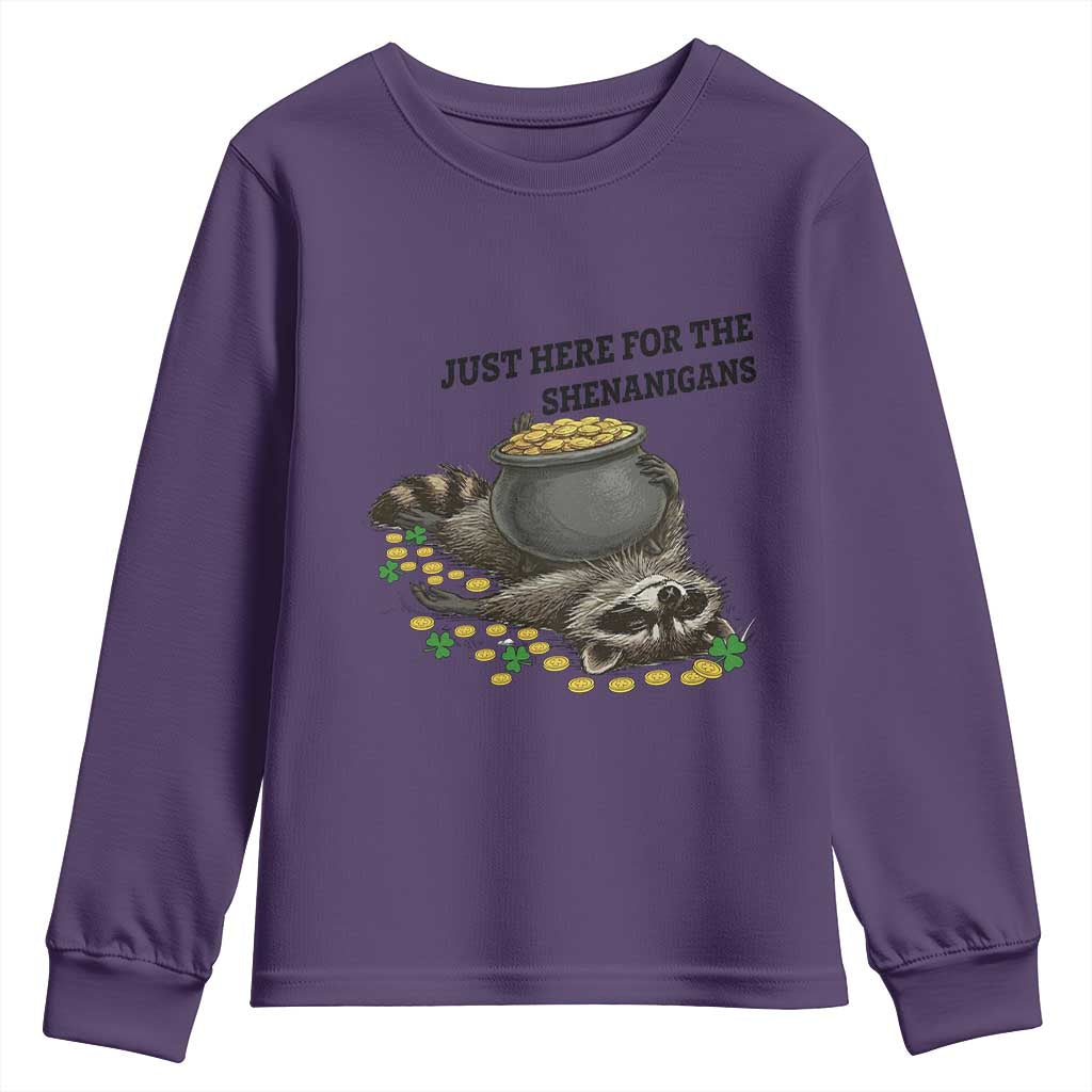 Funny Raccoon St Patricks Day Meme Youth Sweatshirt Just Here For The Shenanigans