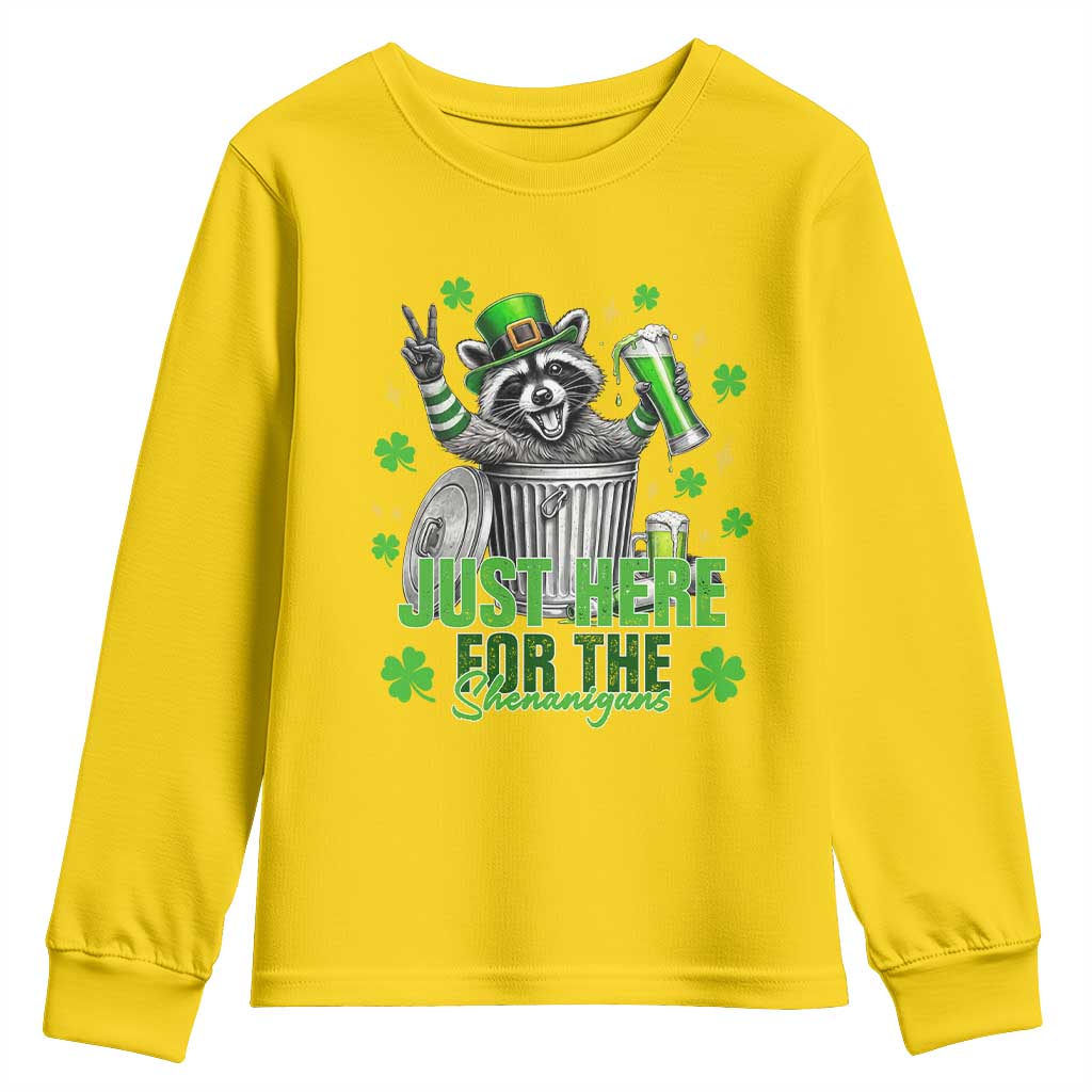 Funny Raccoon Drinking Beer St Patricks Day Youth Sweatshirt Just Here For The Shenanigans