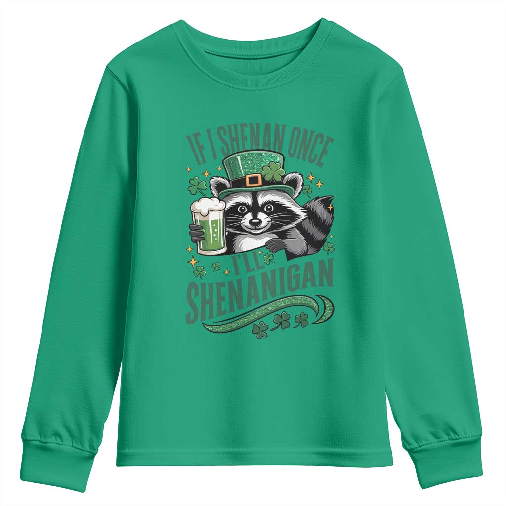 Funny St Patricks Day Raccoon Drinking Beer Youth Sweatshirt If I Shenan Once I'll Shenanigan