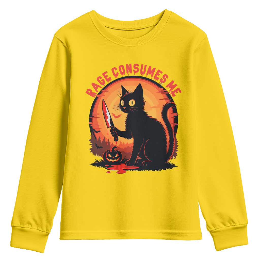 Funny Black Cat Halloween Funny Black Cat Murderous Cat With Knife Youth Sweatshirt Rage Is Consuming Me - Wonder Print Shop