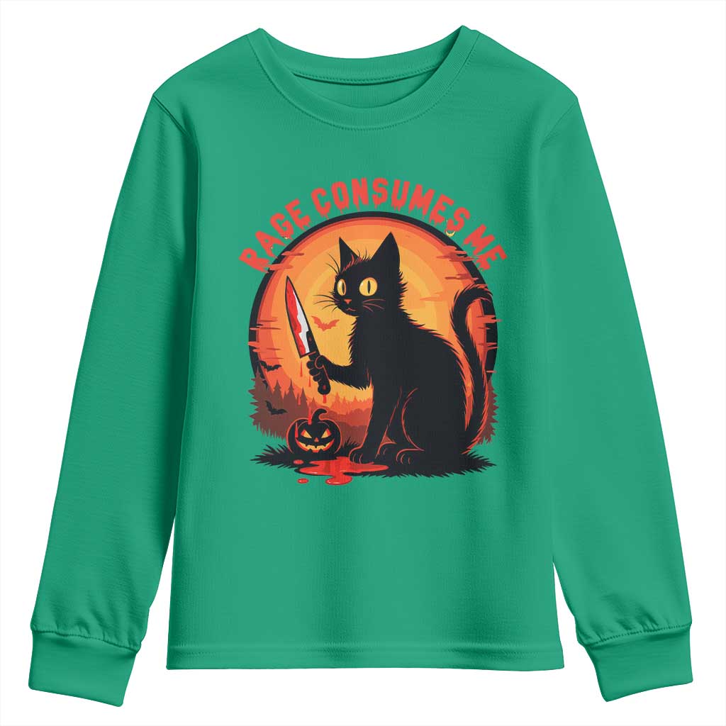 Funny Black Cat Halloween Funny Black Cat Murderous Cat With Knife Youth Sweatshirt Rage Is Consuming Me - Wonder Print Shop