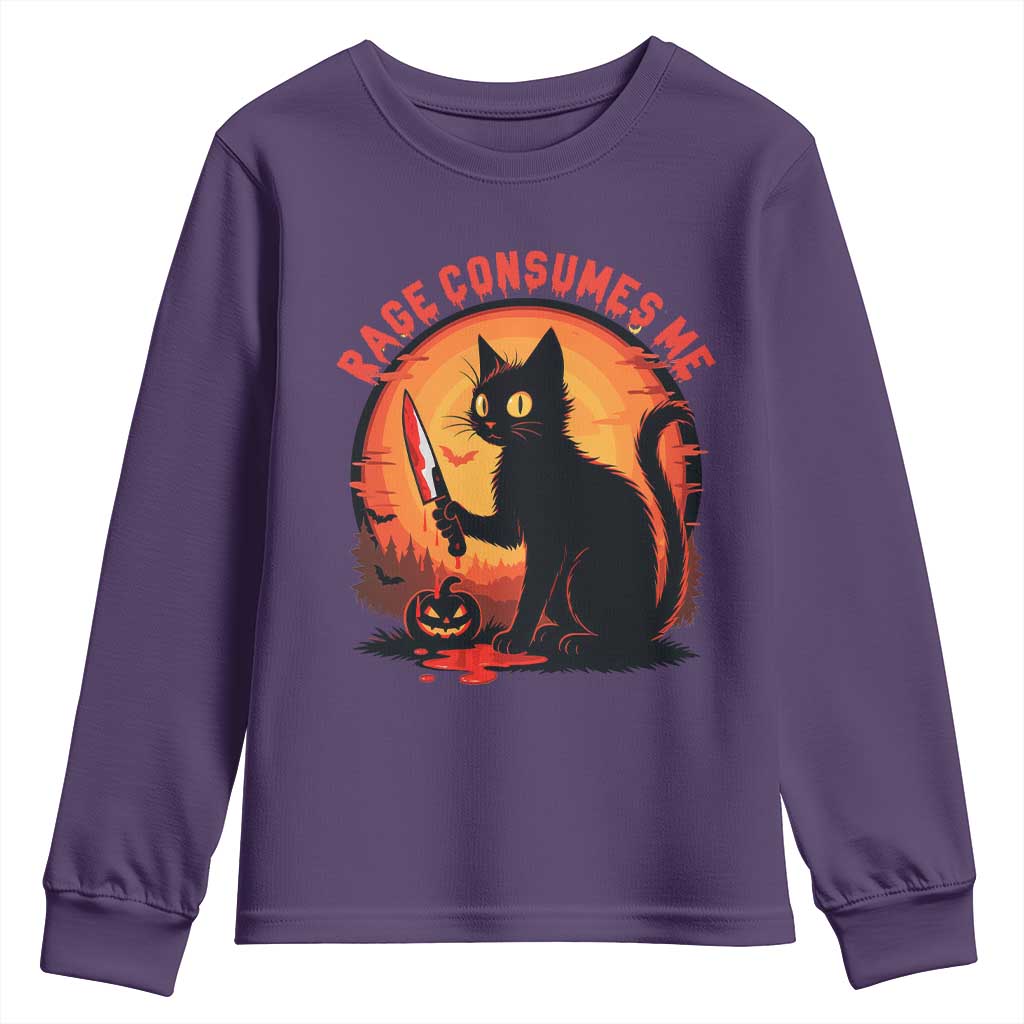 Funny Black Cat Halloween Funny Black Cat Murderous Cat With Knife Youth Sweatshirt Rage Is Consuming Me - Wonder Print Shop