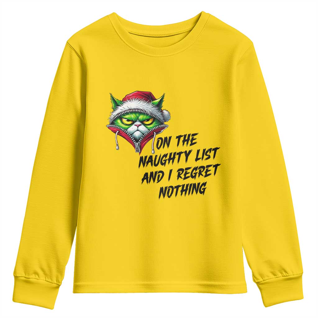 Funny Cat Green Christmas Youth Sweatshirt On The Naughty List And I Regret Nothing - Wonder Print Shop
