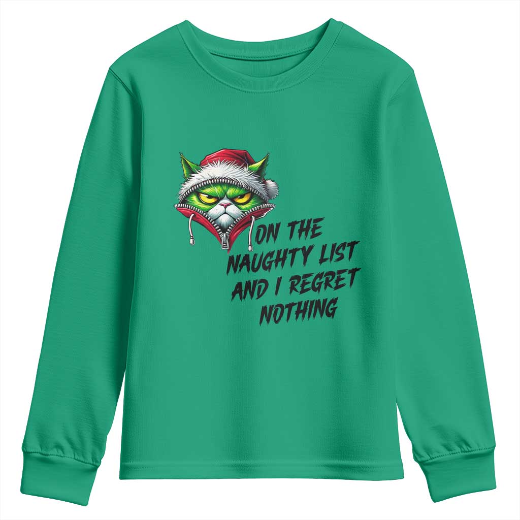 Funny Cat Green Christmas Youth Sweatshirt On The Naughty List And I Regret Nothing - Wonder Print Shop