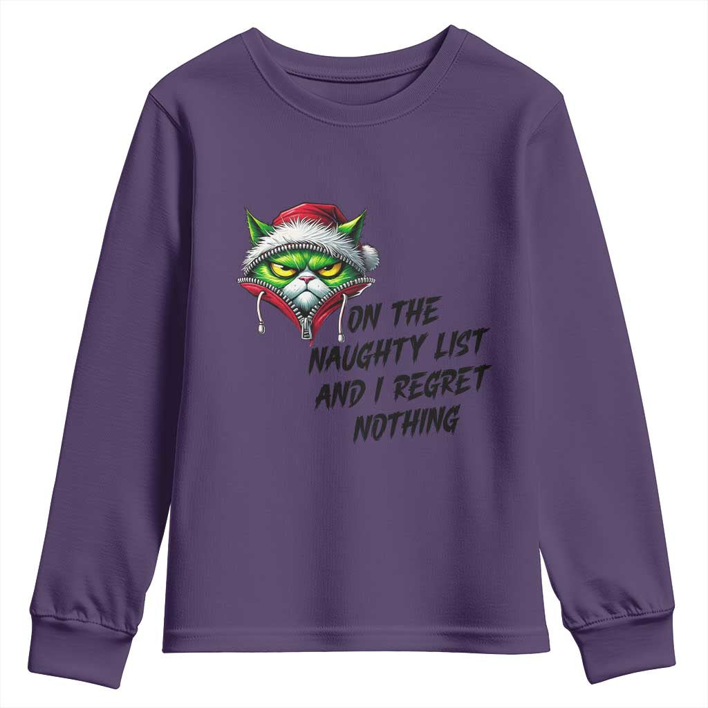 Funny Cat Green Christmas Youth Sweatshirt On The Naughty List And I Regret Nothing - Wonder Print Shop