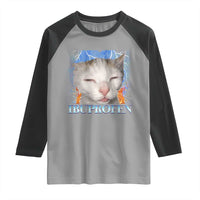 Funny Cat Meme Raglan Shirt Ibuprofen Silly Kitten - Wonder Print Shop