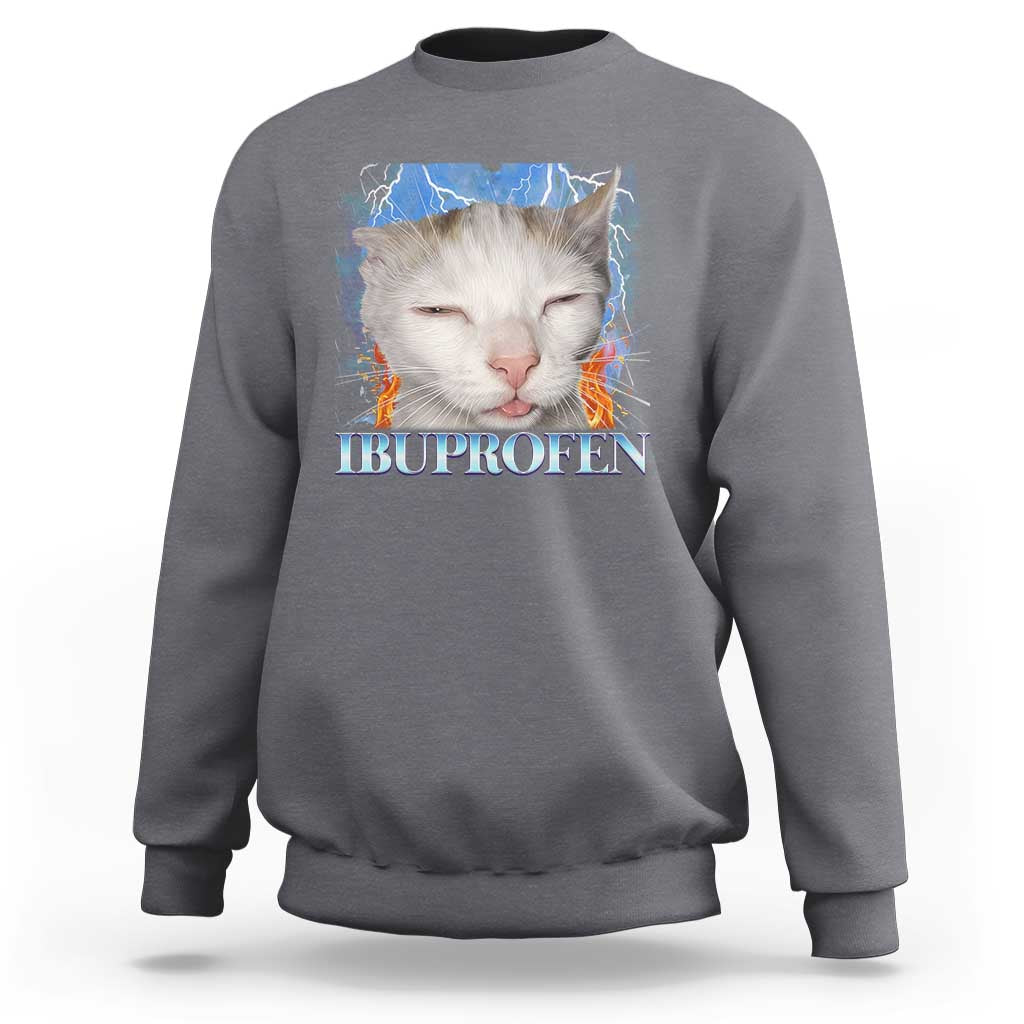 Funny Cat Meme Sweatshirt Ibuprofen Silly Kitten - Wonder Print Shop
