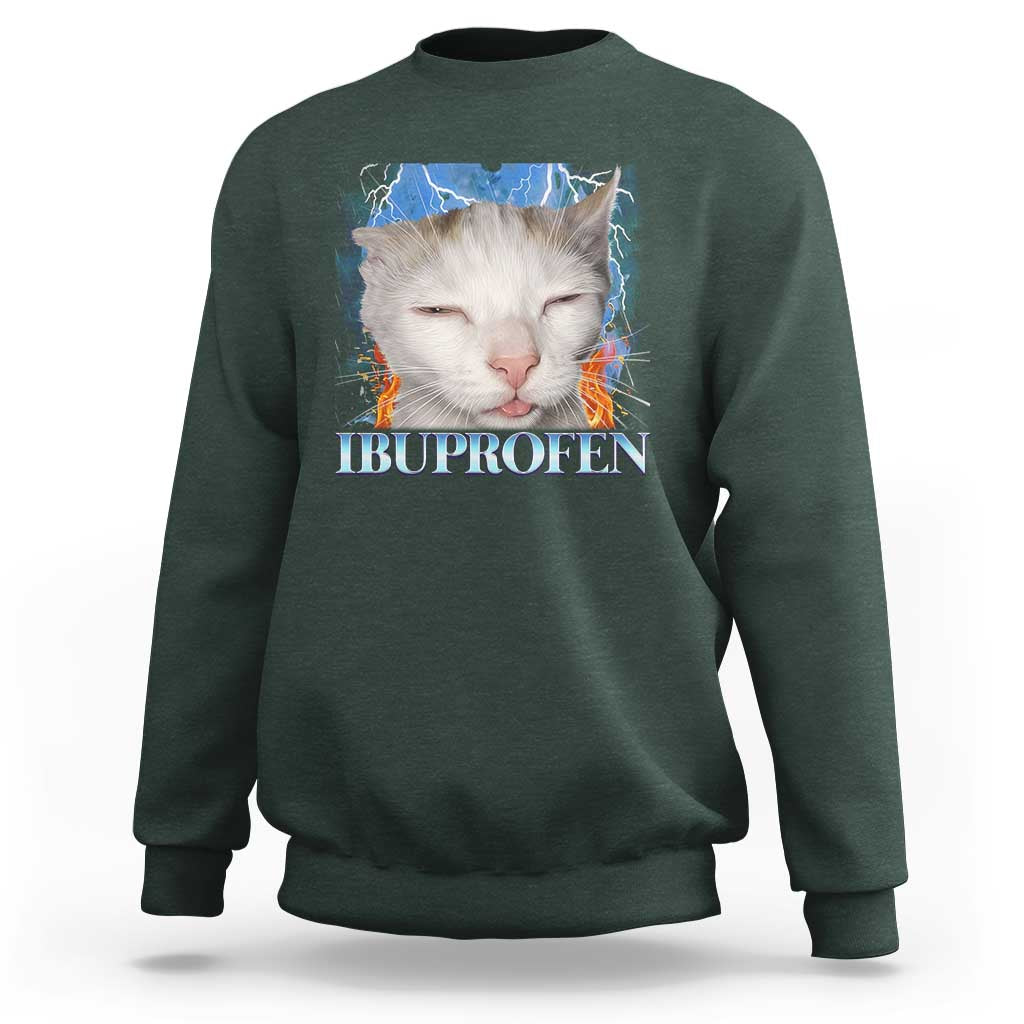 Funny Cat Meme Sweatshirt Ibuprofen Silly Kitten - Wonder Print Shop
