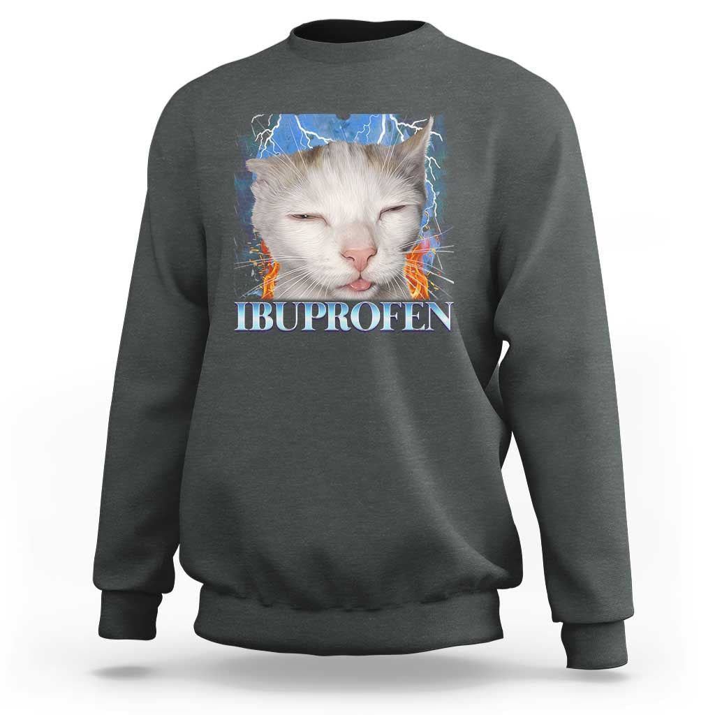 Funny Cat Meme Sweatshirt Ibuprofen Silly Kitten - Wonder Print Shop