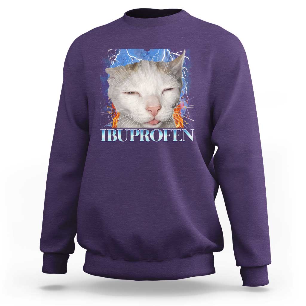 Funny Cat Meme Sweatshirt Ibuprofen Silly Kitten - Wonder Print Shop