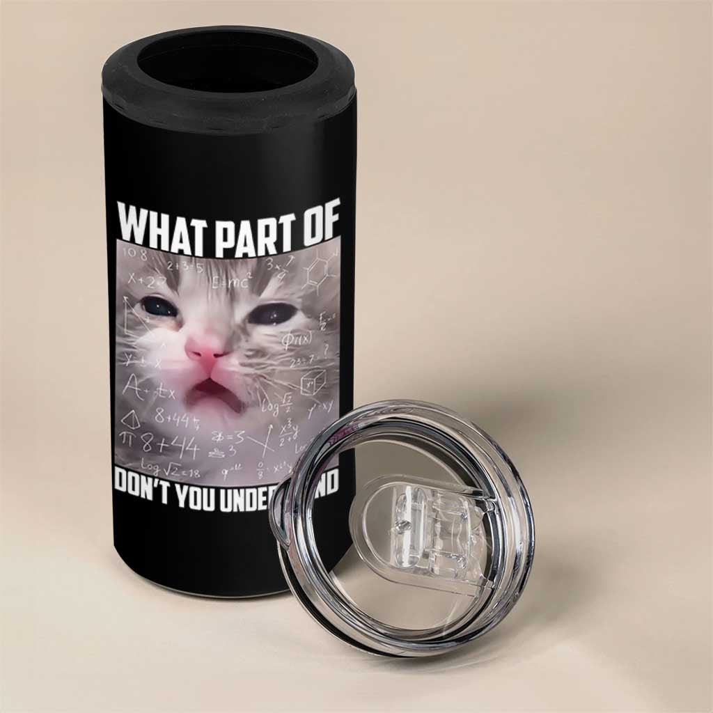 Funny Math Cat Lover 4 in 1 Can Cooler Tumbler What Part Of Do Not You Understand - Wonder Print Shop