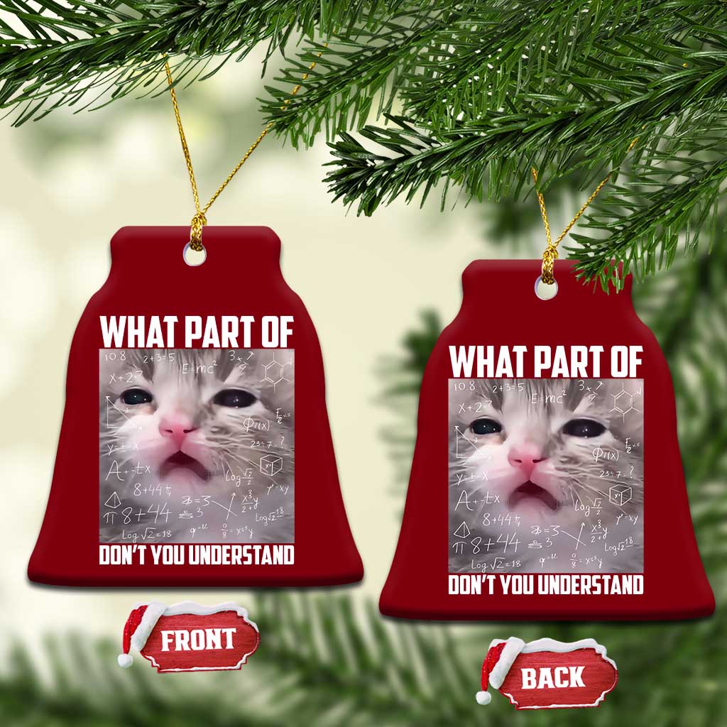 Funny Math Cat Lover Ceramic Ornament What Part Of Do Not You Understand - Wonder Print Shop