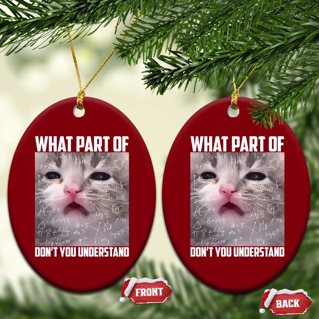 Funny Math Cat Lover Ceramic Ornament What Part Of Do Not You Understand - Wonder Print Shop