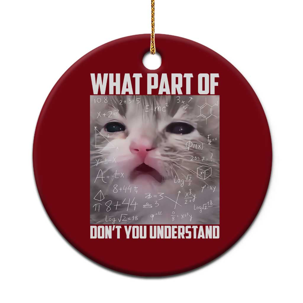 Funny Math Cat Lover Ceramic Ornament What Part Of Do Not You Understand - Wonder Print Shop