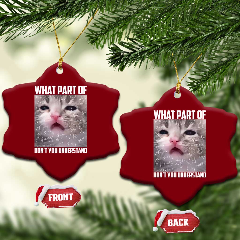 Funny Math Cat Lover Ceramic Ornament What Part Of Do Not You Understand - Wonder Print Shop