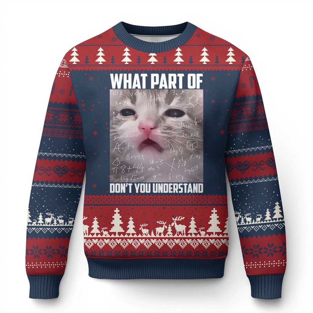 Funny Math Cat Lover Ugly Christmas Sweater What Part Of Do Not You Understand - Wonder Print Shop