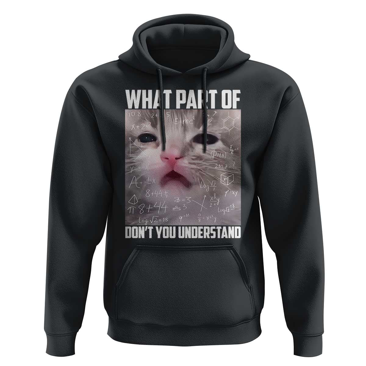 Funny Math Cat Lover Hoodie What Part Of Do Not You Understand - Wonder Print Shop