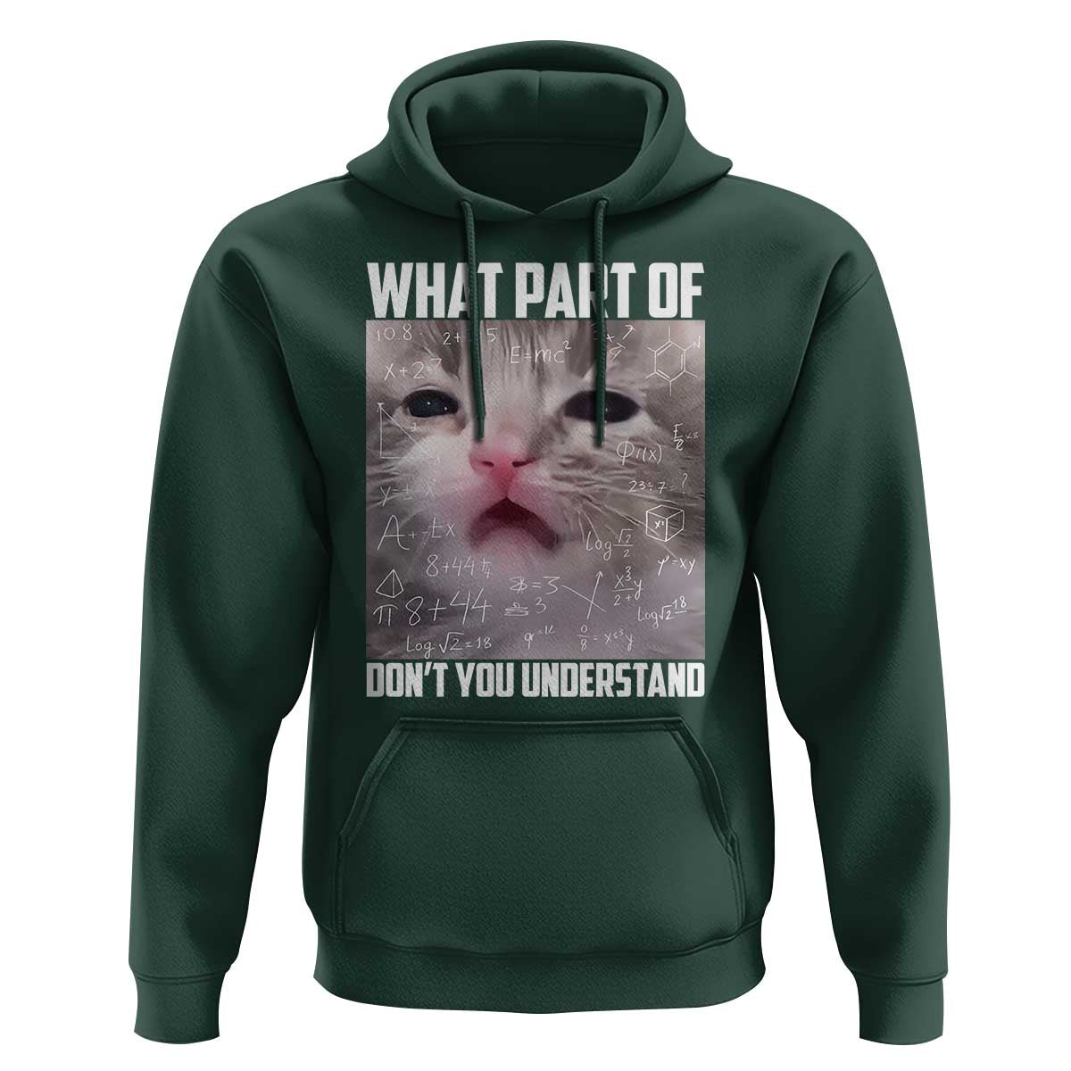 Funny Math Cat Lover Hoodie What Part Of Do Not You Understand - Wonder Print Shop