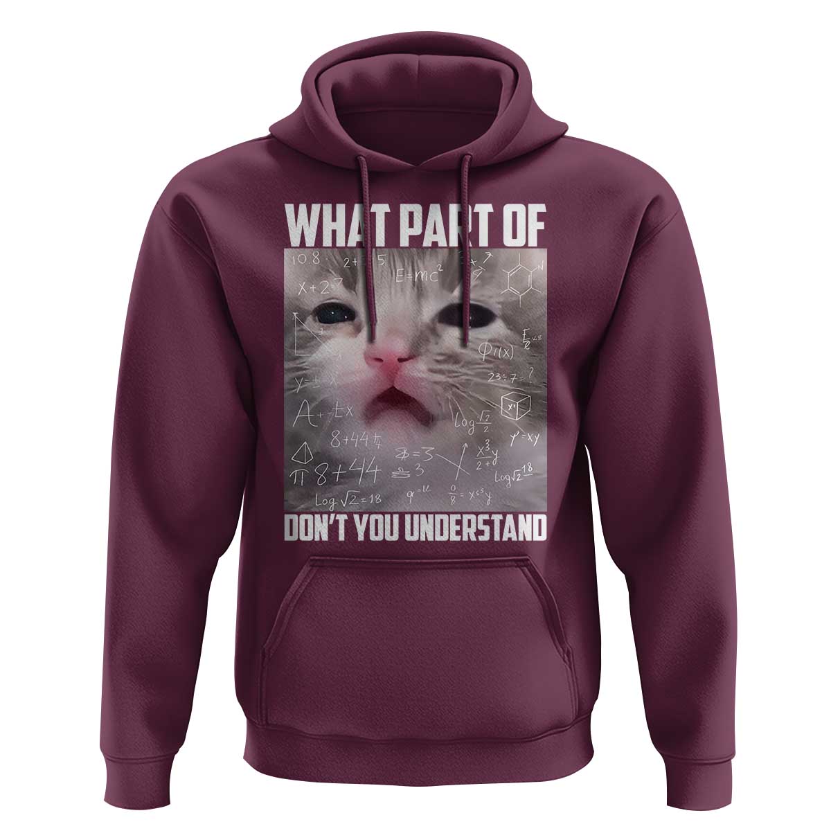 Funny Math Cat Lover Hoodie What Part Of Do Not You Understand - Wonder Print Shop