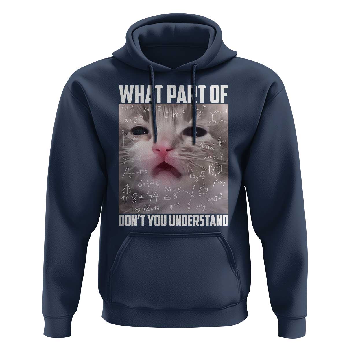 Funny Math Cat Lover Hoodie What Part Of Do Not You Understand - Wonder Print Shop