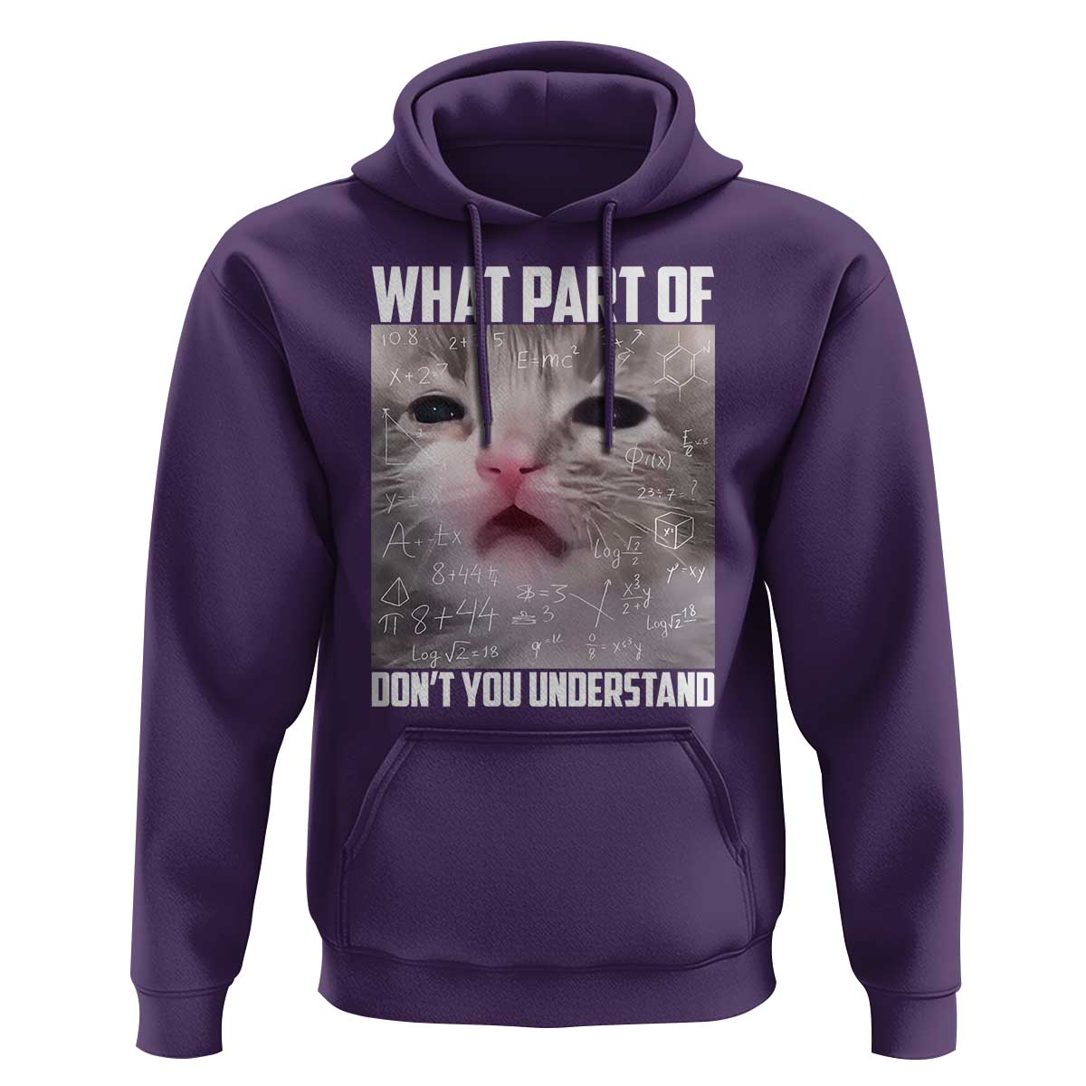 Funny Math Cat Lover Hoodie What Part Of Do Not You Understand - Wonder Print Shop
