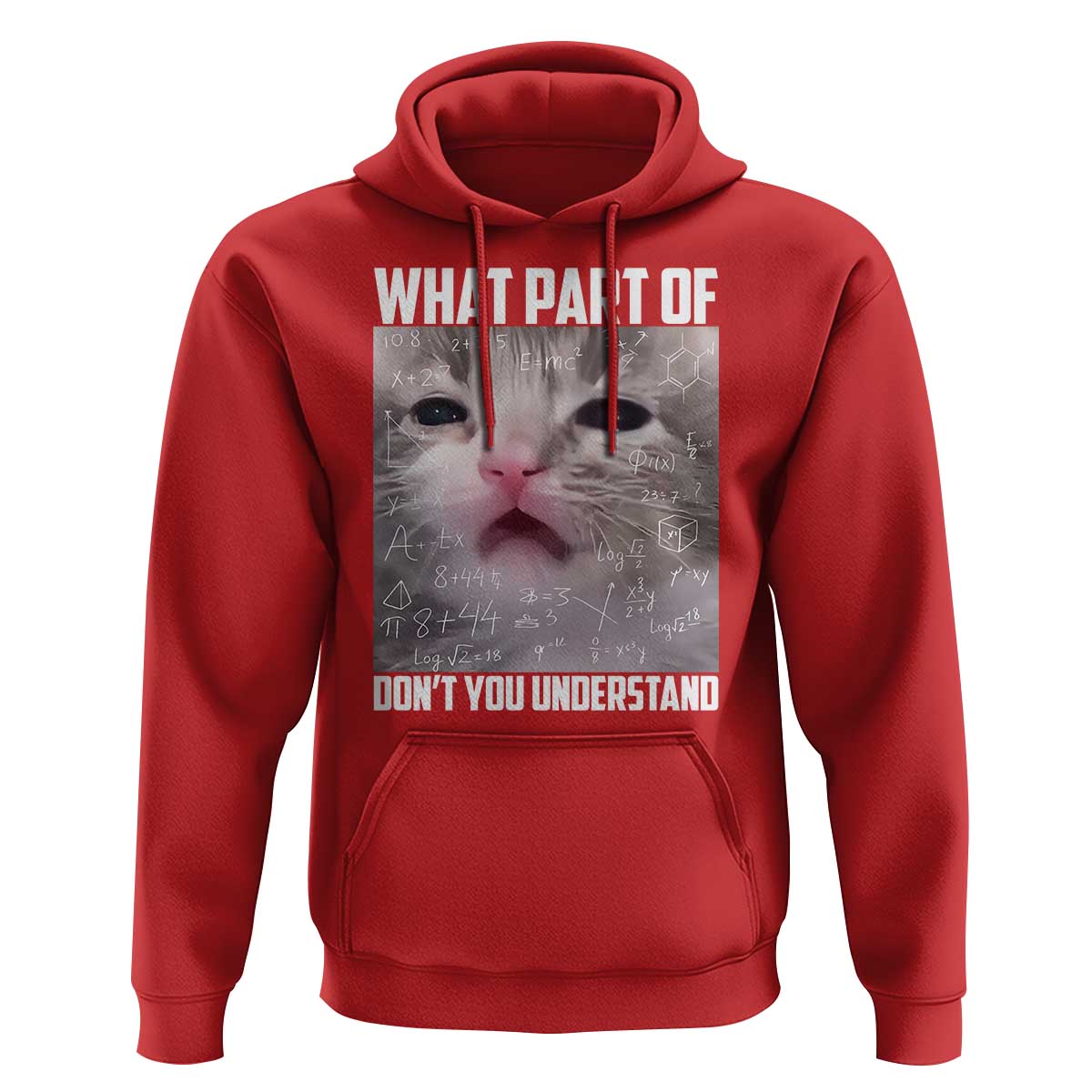 Funny Math Cat Lover Hoodie What Part Of Do Not You Understand - Wonder Print Shop