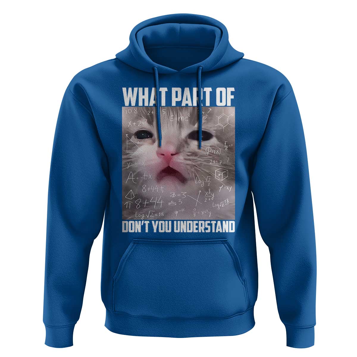 Funny Math Cat Lover Hoodie What Part Of Do Not You Understand - Wonder Print Shop