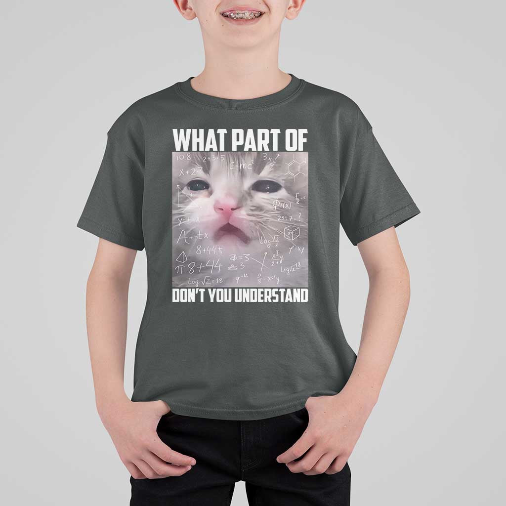 Funny Math Cat Lover T Shirt For Kid What Part Of Do Not You Understand - Wonder Print Shop