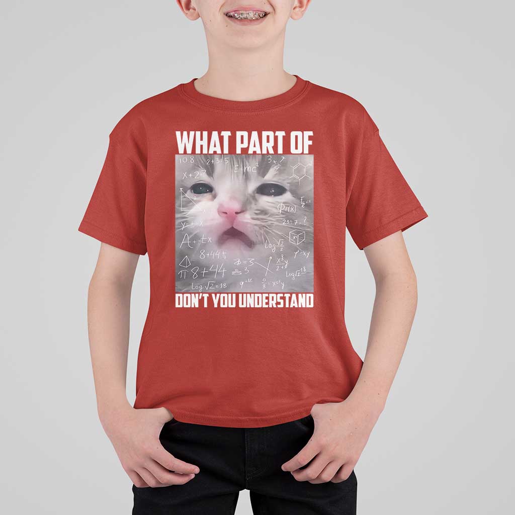 Funny Math Cat Lover T Shirt For Kid What Part Of Do Not You Understand - Wonder Print Shop
