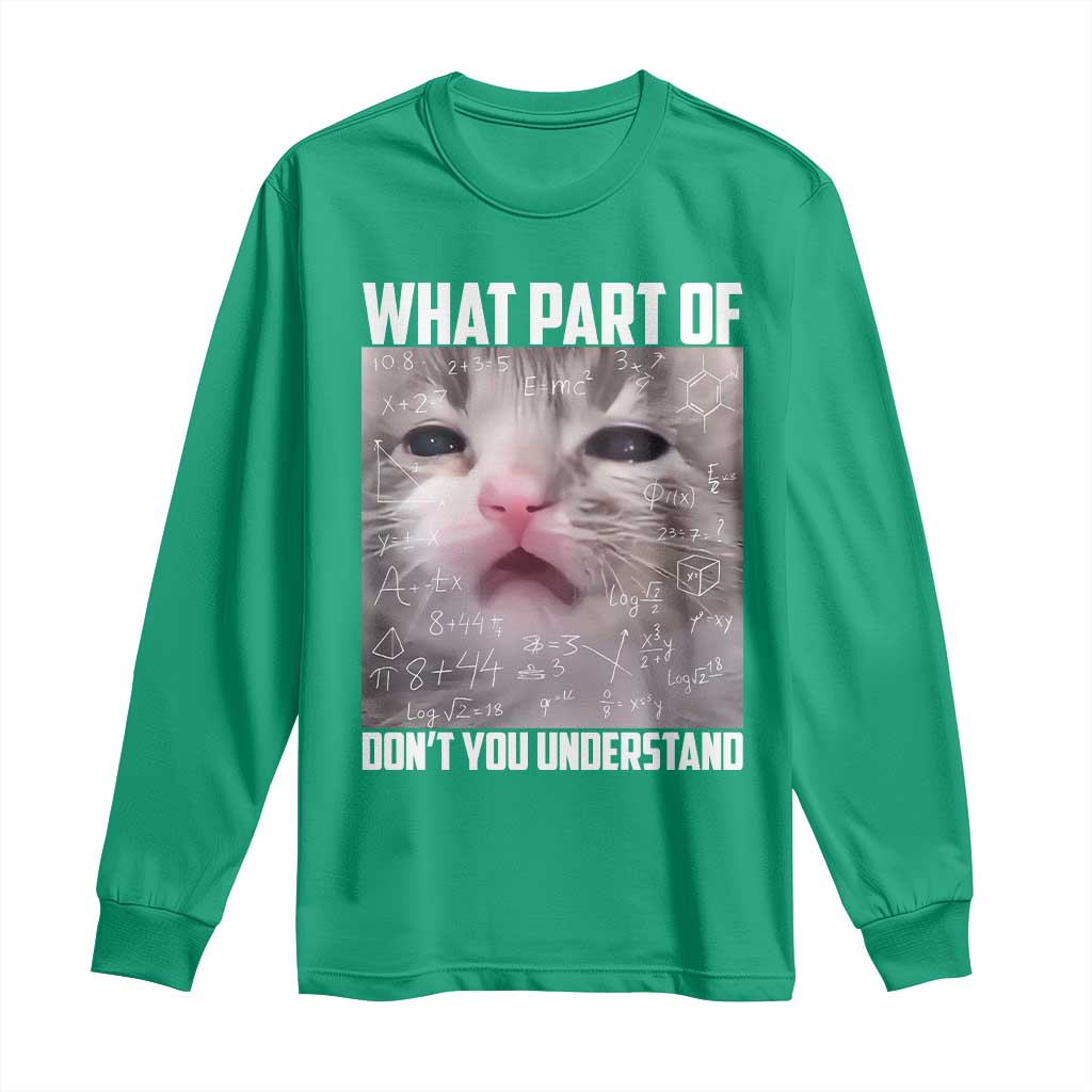 Funny Math Cat Lover Long Sleeve Shirt What Part Of Do Not You Understand - Wonder Print Shop